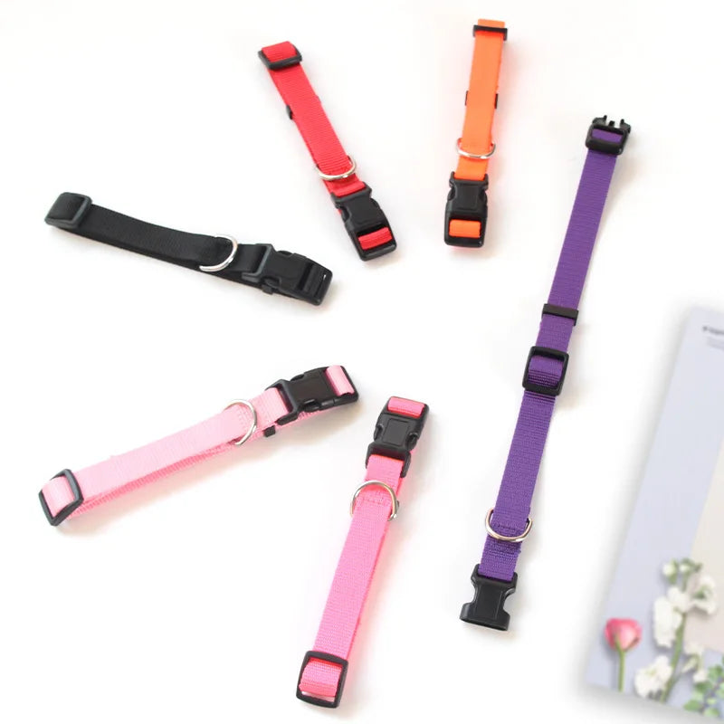 Adjustable Nylon Dog Collar