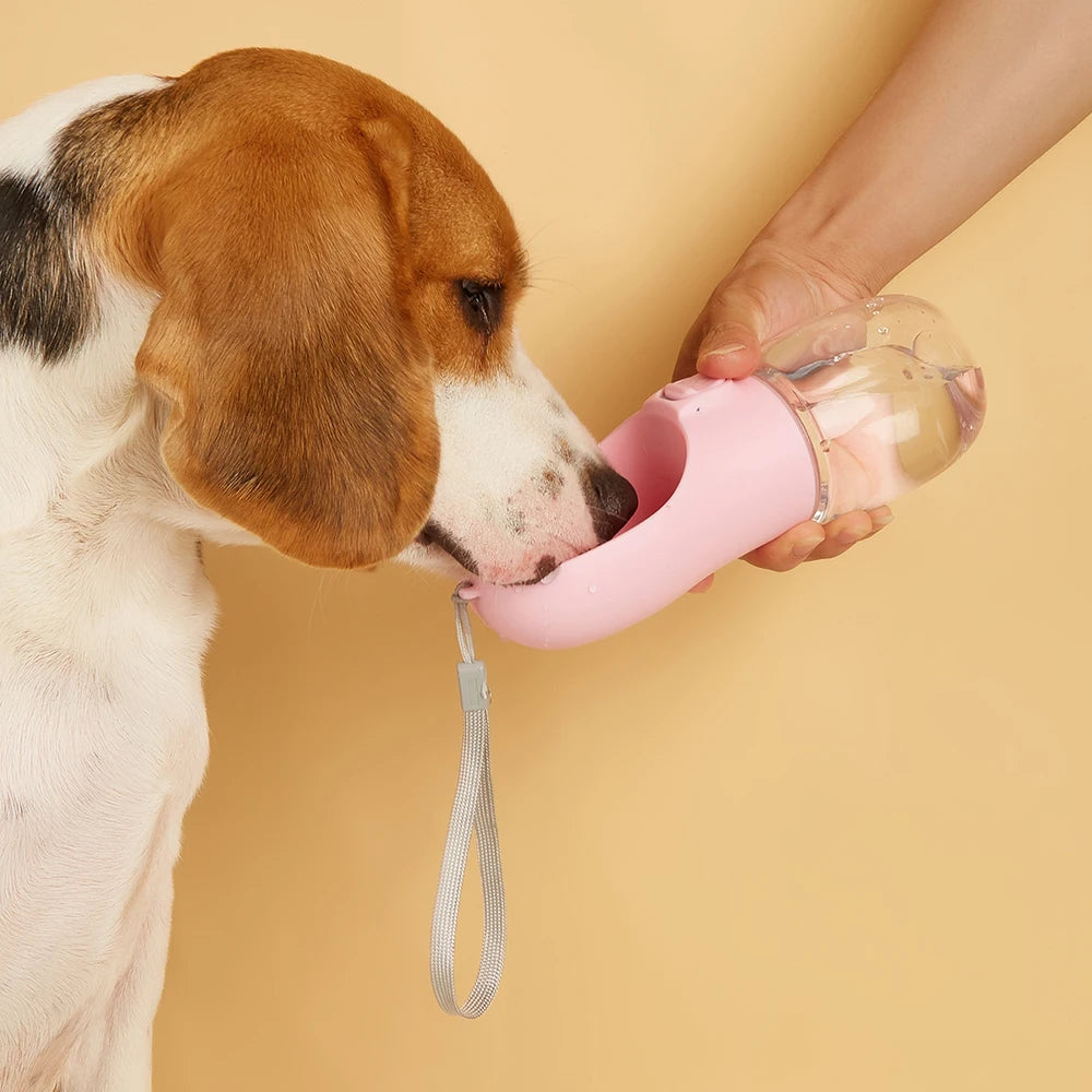 Dog Water Bottle