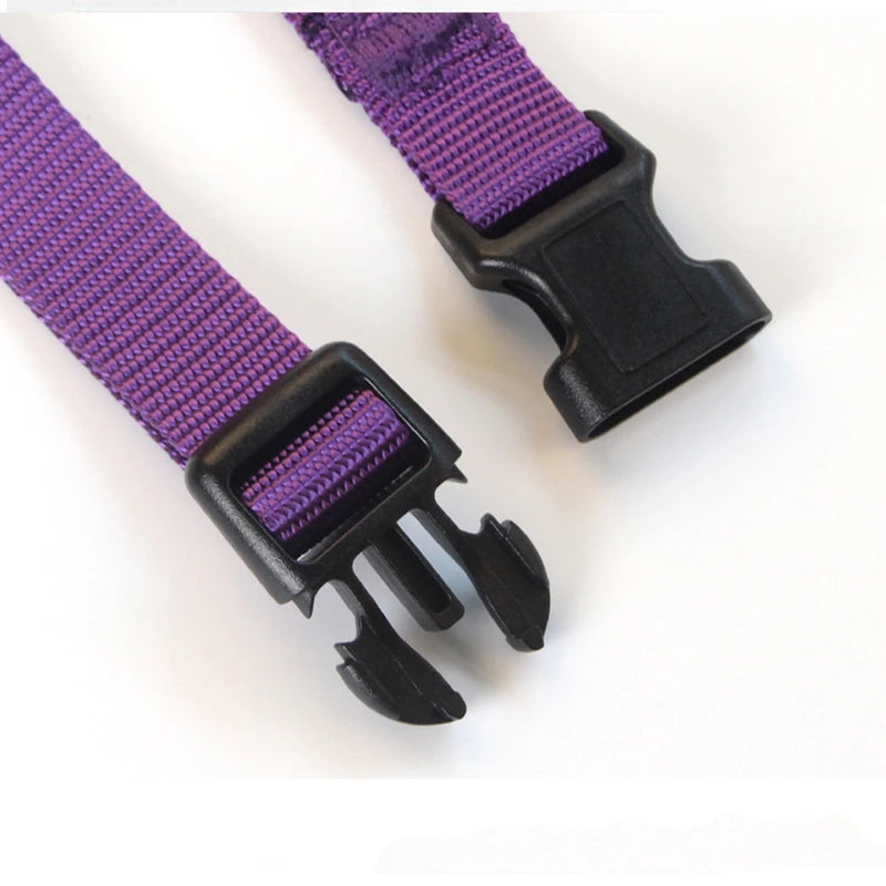 Adjustable Nylon Dog Collar