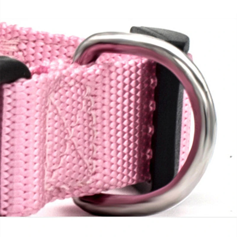 Adjustable Nylon Dog Collar