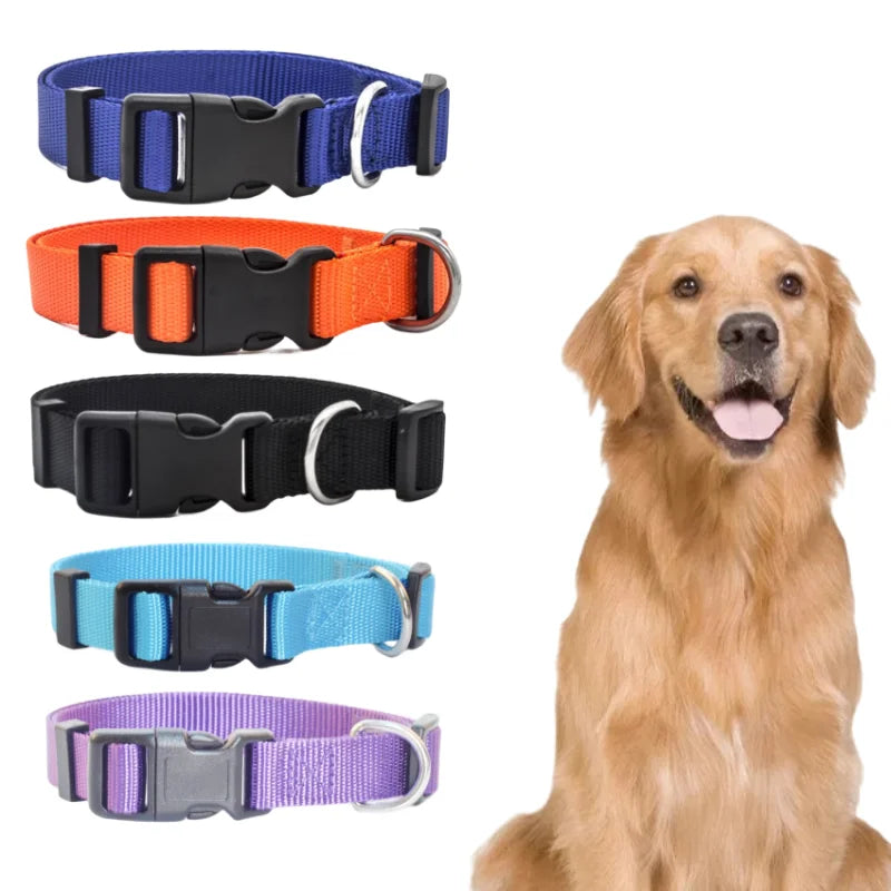 Adjustable Nylon Dog Collar