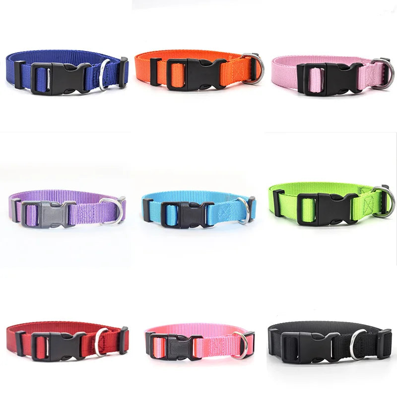 Adjustable Nylon Dog Collar